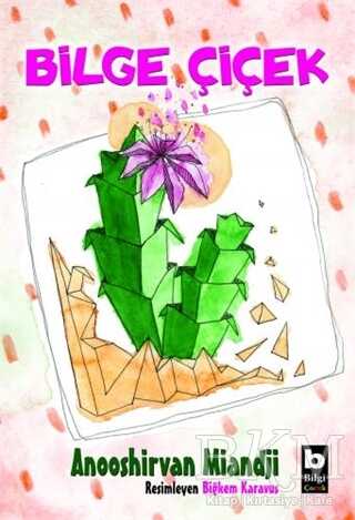 Bilge Çiçek - Bilgi Yayınevi