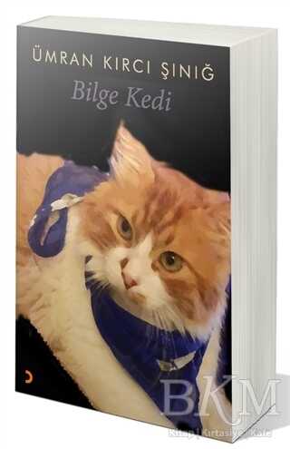 Bilge Kedi - Cinius Yayınları