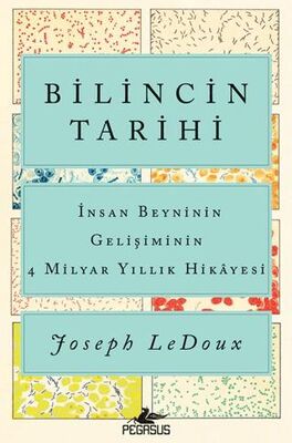 Bilincin Tarihi: İnsan Beyninin Gelişiminin 4 Milyar Yıllık Hikayesi - 1