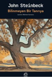 Bilinmeyen Bir Tanrıya - İletişim Yayınevi