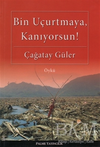 Bin Uçurtmaya, Kanıyorsun! - Palme Yayıncılık