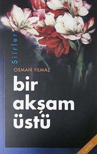 Bir Akşam Üstü - SFN Yayınları