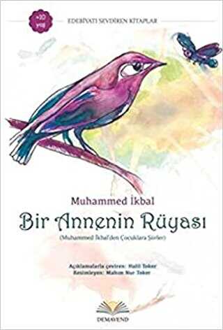 Bir Annenin Rüyası - Demavend Yayınları