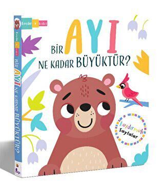 Bir Ayı Ne Kadar Büyüktür? – Kaydır + Keşfet - 2