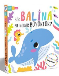 Bir Balina Ne Kadar Büyüktür? - 2