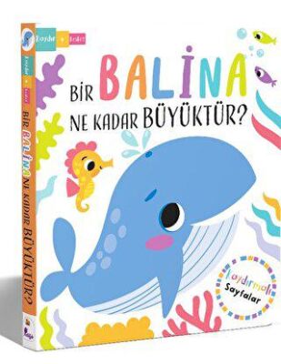 Bir Balina Ne Kadar Büyüktür? - 2