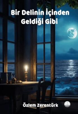 Bir Delinin İçinden Geldiği Gibi - 1