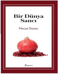 Bir Dünya Sancı - Bilgesina Yayınları