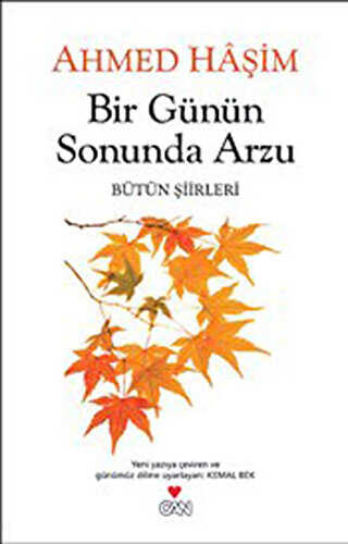 Bir Günün Sonunda Arzu - Can Yayınları
