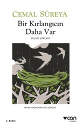 Bir Kırlangıcın Daha Var - Can Yayınları