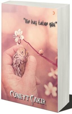 Bir Kuş Tutar Gibi - 1