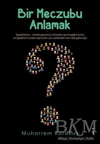 Bir Meczubu Anlamak - İkinci Adam Yayınları