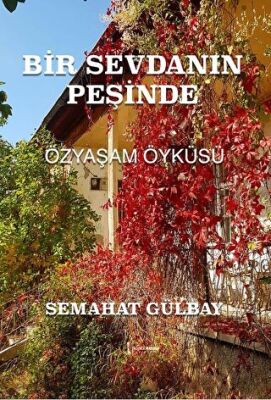 Bir Sevdanın Peşinde - 1