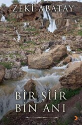 Bir Şiir Bin Anı - Cinius Yayınları
