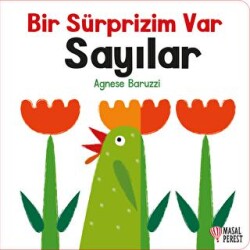 Bir Sürprizim Var - Sayılar - 2