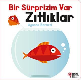 Bir Sürprizim Var - Zıtlıklar - 2