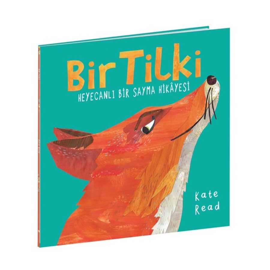 Bir Tilki - 2