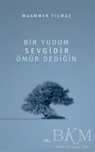 Bir Yudum Sevgidir Ömür Dediğin - Bengisu Yayınları