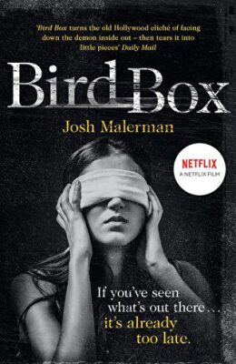 Bird Box kapağı