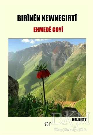Bırinen Kewnegırti - Ar Yayınları