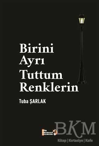 Birini Ayrı Tuttum Renklerin - Şiir Antoloji Yayınları
