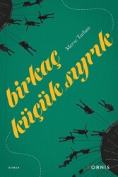 Birkaç Küçük Sıyrık - Ornis Kitap