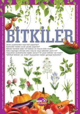 Bitkiler kapağı