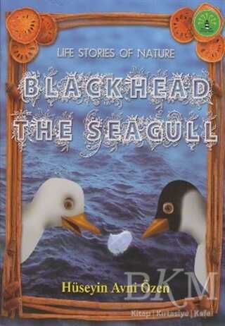 Black Head The Seagull