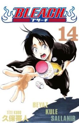 Bleach 14. Cilt kapağı