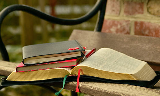 Bilimsel Kitap Özeti Nasıl Çıkarılır