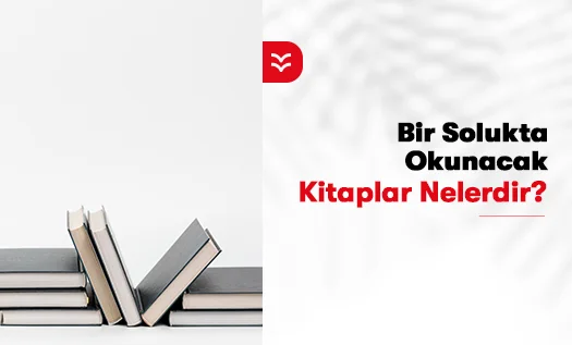 Bir Solukta Okunacak Kitaplar Nelerdir?