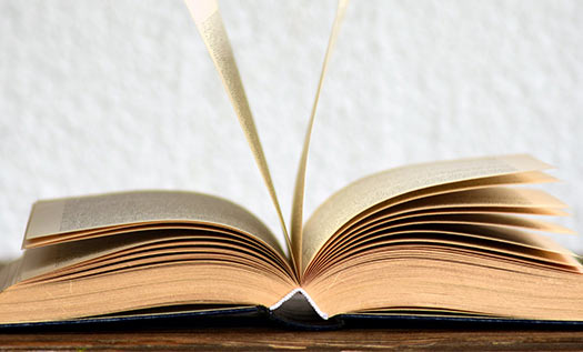 Birçok Alanı Kapsayan Eğitim Bilimleri Kitapları 