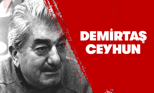 Demirtaş Ceyhun Kimdir?