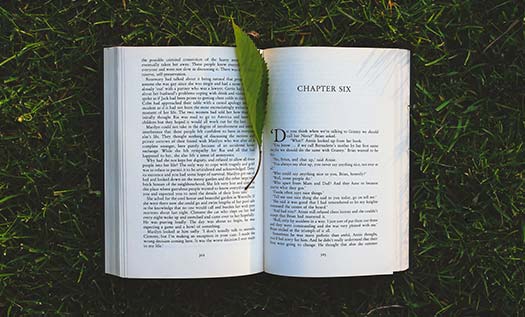 Elektrik Elektronik Kitapları