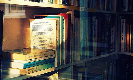 En İyi Sağlıklı Beslenme ve Diyet Kitapları| bkmkitap.com