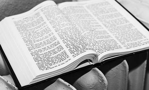 Felsefe Tarihi Kitapları Ne Anlatır