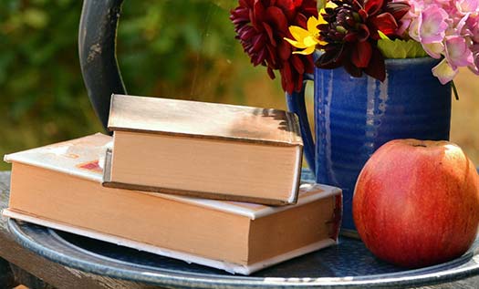 LGS Edebiyat Deneme Kitapları