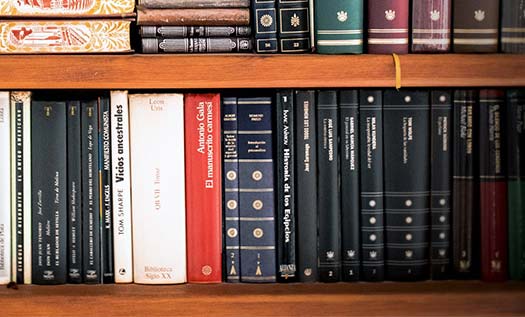 LGS Edebiyat Test Kitapları