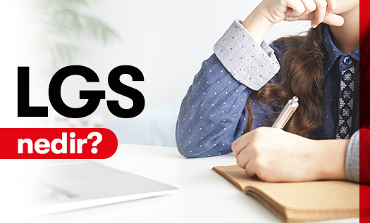 LGS Nedir?