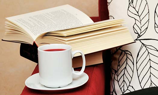 Mizah Kitabı Önerileri Nelerdir