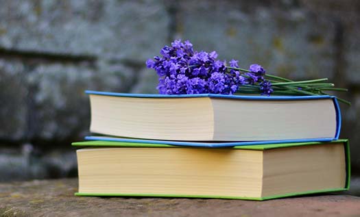 Siyaset Bilimi Ders Kitapları Nereden Alınır