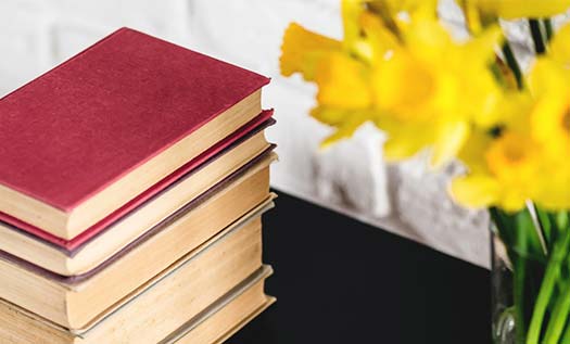 Siyasi Kitap Önerileri Nelerdir