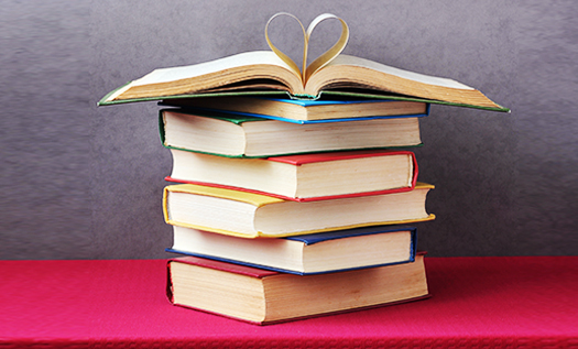 Sosyal Mühendislik Kitapları 