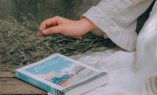 Sosyoloji Kitapları Nereden Alınır