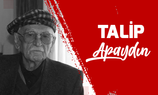 Talip Apaydın Kimdir?