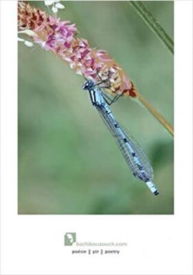 Böcekçiler Çarşısı - 1