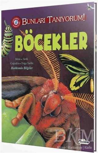 Böcekler - Bunları Tanıyorum! - Teleskop Popüler Bilim