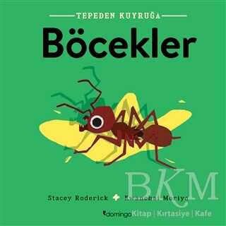 Böcekler - Tepeden Kuyruğa - Domingo Yayınevi