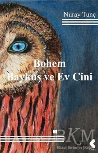 Bohem Baykuş ve Ev Cini - Klaros Yayınları