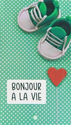 Bonjour a la Vie Hayata Merhaba Fransızca - Diyanet İşleri Başkanlığı